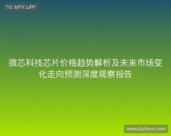 微芯科技芯片价格趋势解析及未来市场变化走向预测深度观察报告